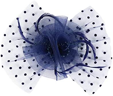 Lvguang Dames Chapeau Tête Fleur Plume Maille Fil Accessoires de Cheveux Coiffe pour Mariages & Parties