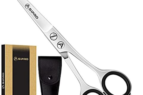ASIPRO Ciseaux Coiffure Professionnel 6.5 Pounces/16.5cm Ciseaux Cheveux Homme, Femmes et les Enfants Acier Inoxydable Ciseaux Coiffure Desepaissir Parfaite Ciseaux Barbe Avec étui de Protection